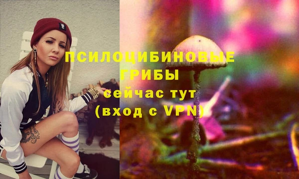 стафф Нея
