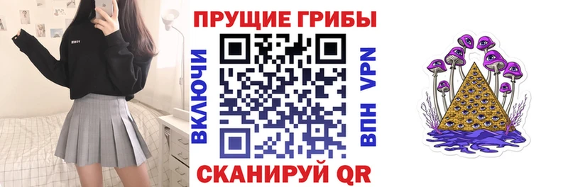купить наркоту  Новотитаровская  гидра ССЫЛКА  Псилоцибиновые грибы MAGIC MUSHROOMS 